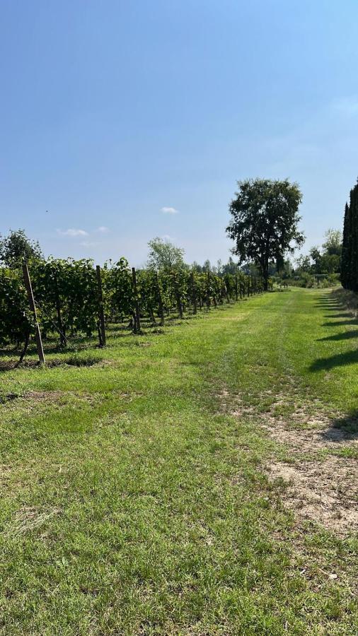 Gabriele Country House Desenzano del Garda Exteriör bild